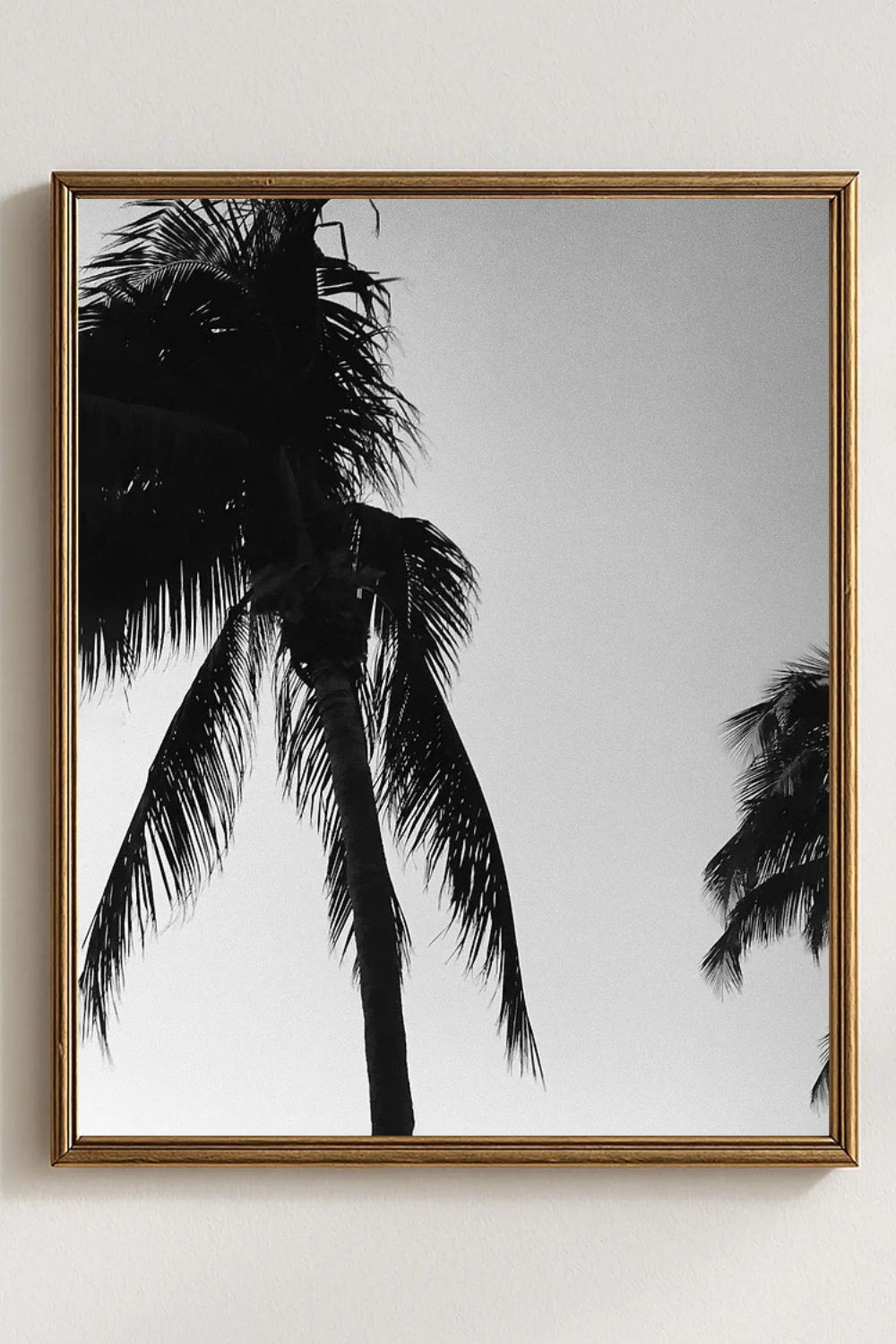 Tirage photo fine art noir et blanc de palmiers en silhouette sur ciel dégradé