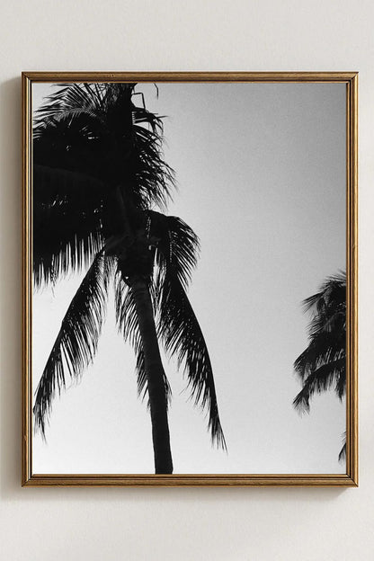 Tirage photo fine art noir et blanc de palmiers en silhouette sur ciel dégradé