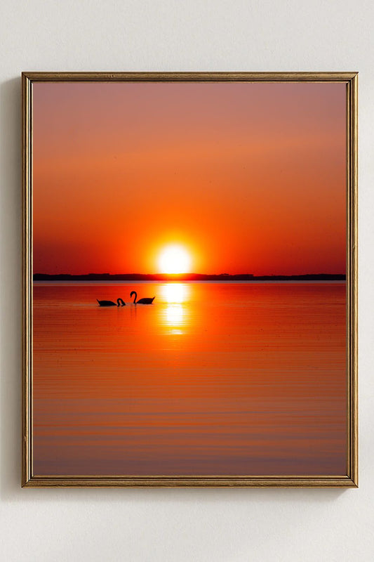 Where Love meets Light