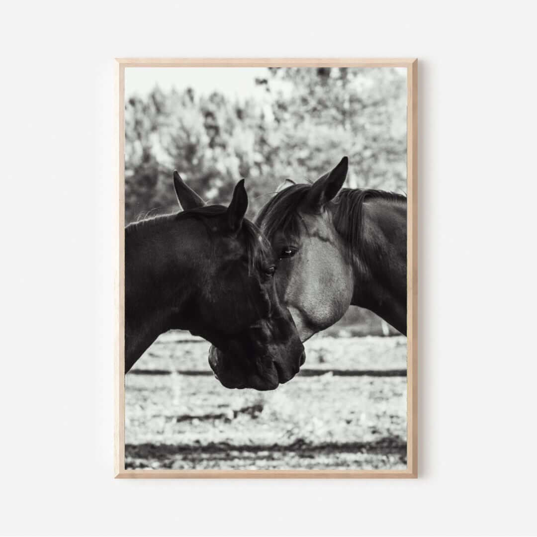 Tirage photo fine art noir et blanc de deux chevaux en symétrie, têtes rapprochée