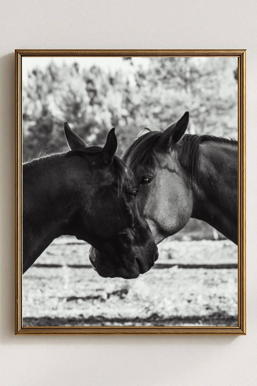 Tirage photo fine art noir et blanc de deux chevaux en symétrie, têtes rapprochée