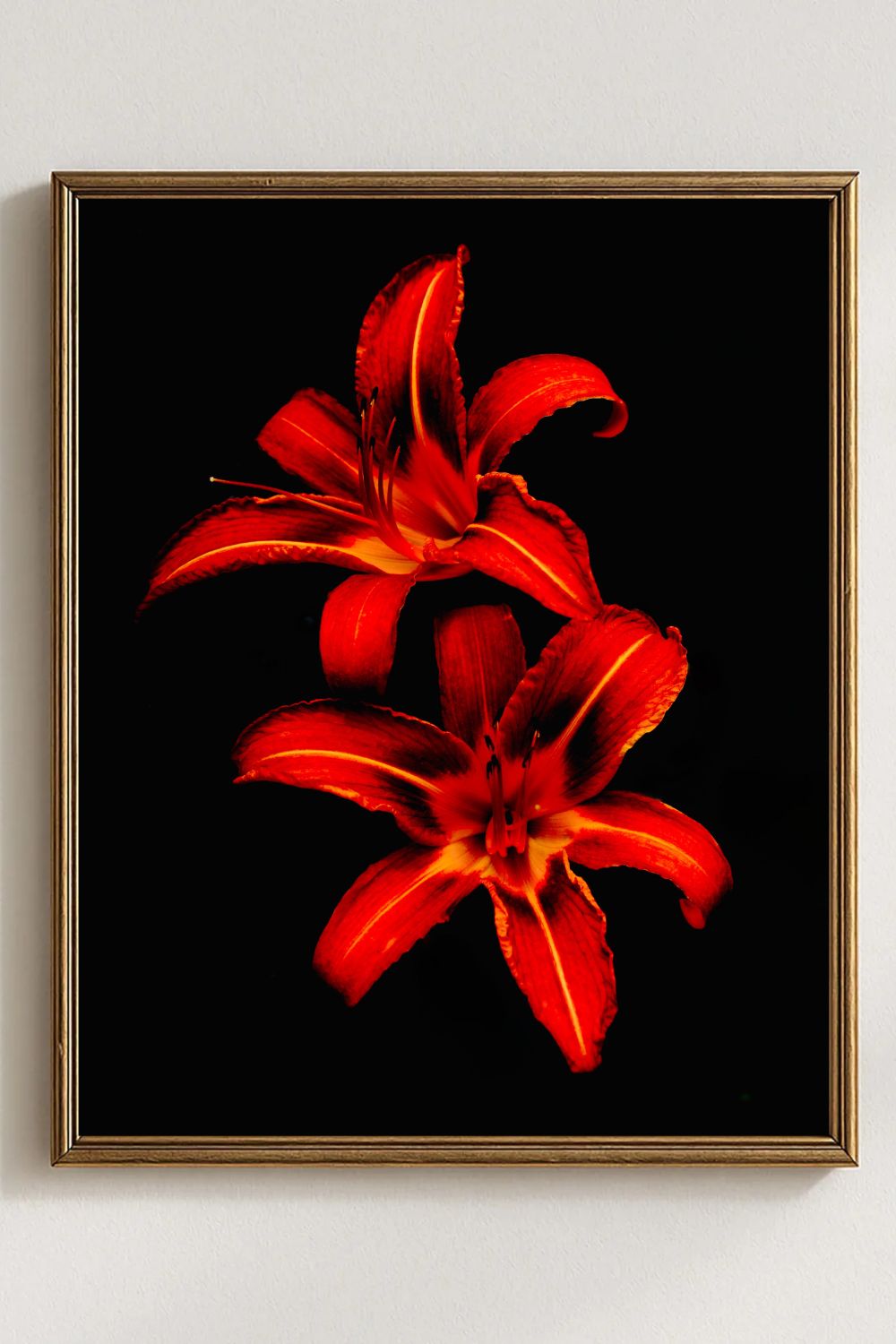Tirage photo fine art de deux lys rouges sur fond noir, contraste floral intense 