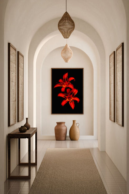Tirage photo fine art de deux lys rouges sur fond noir, contraste floral intense 