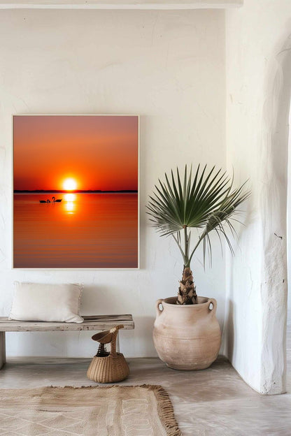 Where Love meets Light