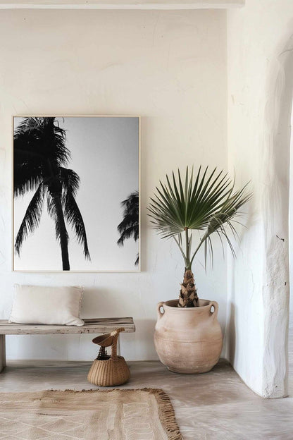 Tirage photo fine art noir et blanc de palmiers en silhouette sur ciel dégradé