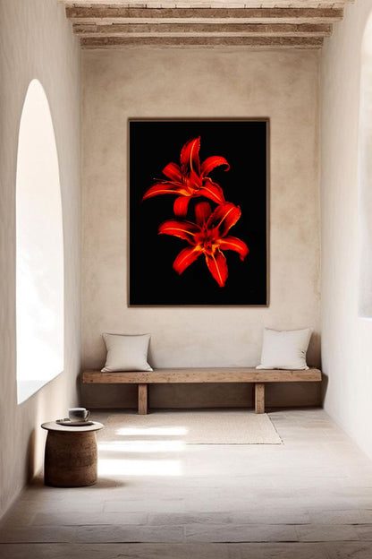 Tirage photo fine art de deux lys rouges sur fond noir, contraste floral intense 