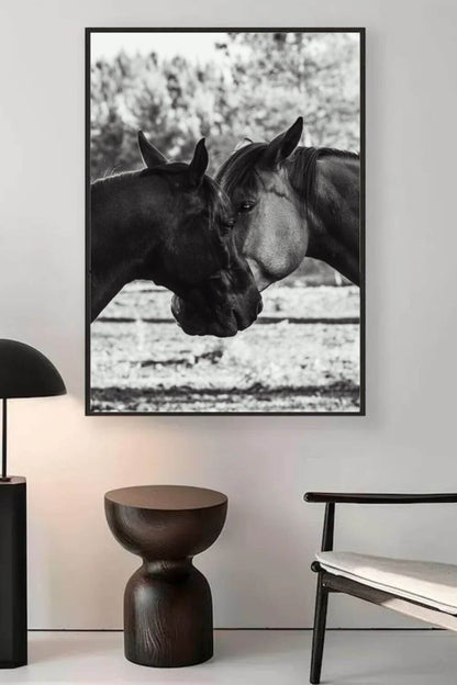 Tirage photo fine art noir et blanc de deux chevaux en symétrie, têtes rapprochée