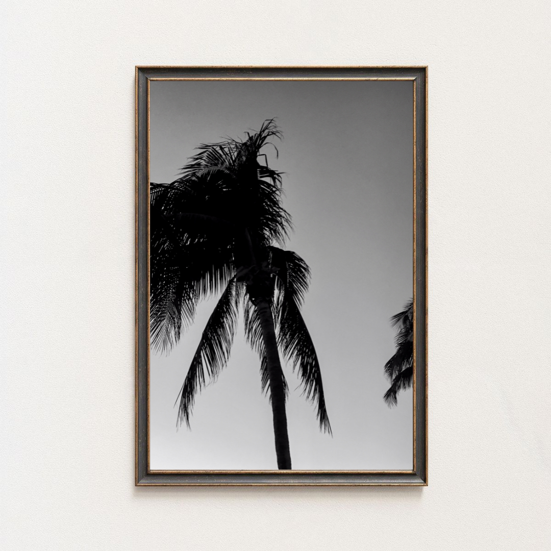 Tirage photo fine art noir et blanc de palmiers en silhouette sur ciel dégradé